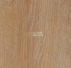 Кварцвиниловые полы Forbo Allura Click 60295CL5 pure oak фото 1 | FLOORDEALER